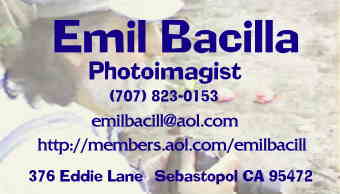 My Business Card